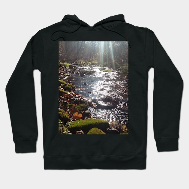 Mossy rock stream Hoodie by Edwardtiptonart